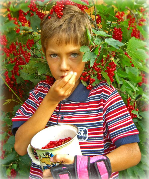 Смородиновый рай. 
