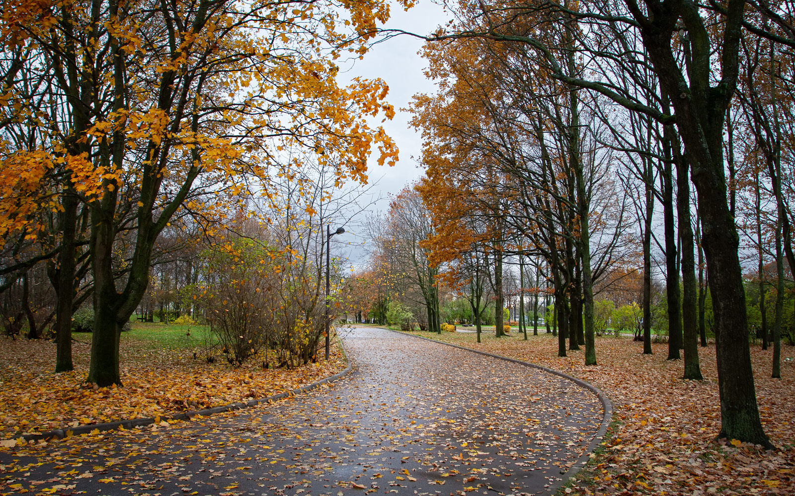 В осеннем парке... парк осень