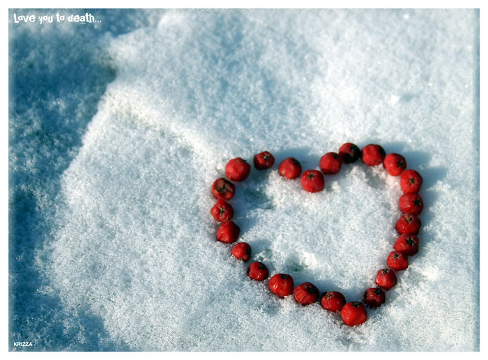 Love you to death... heart, snow, love