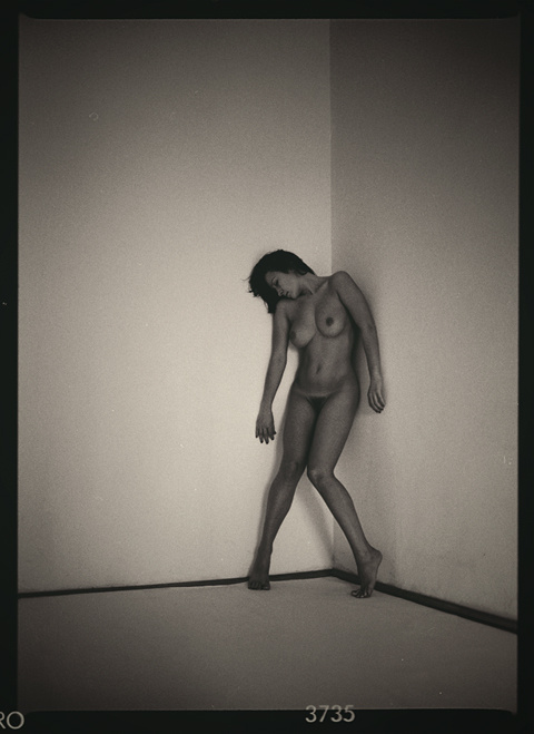 - naked - tnp, nude, mamiya, film scan, ilford