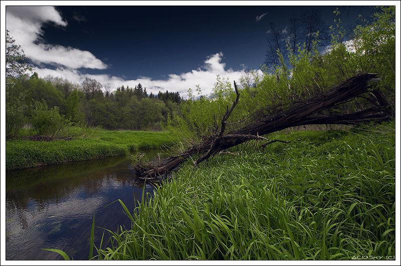 river 