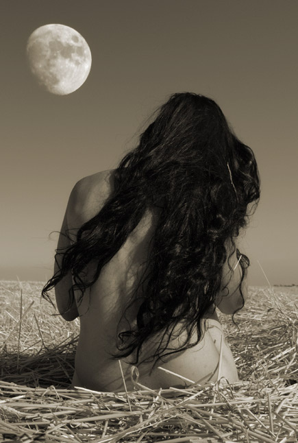 moonlight 