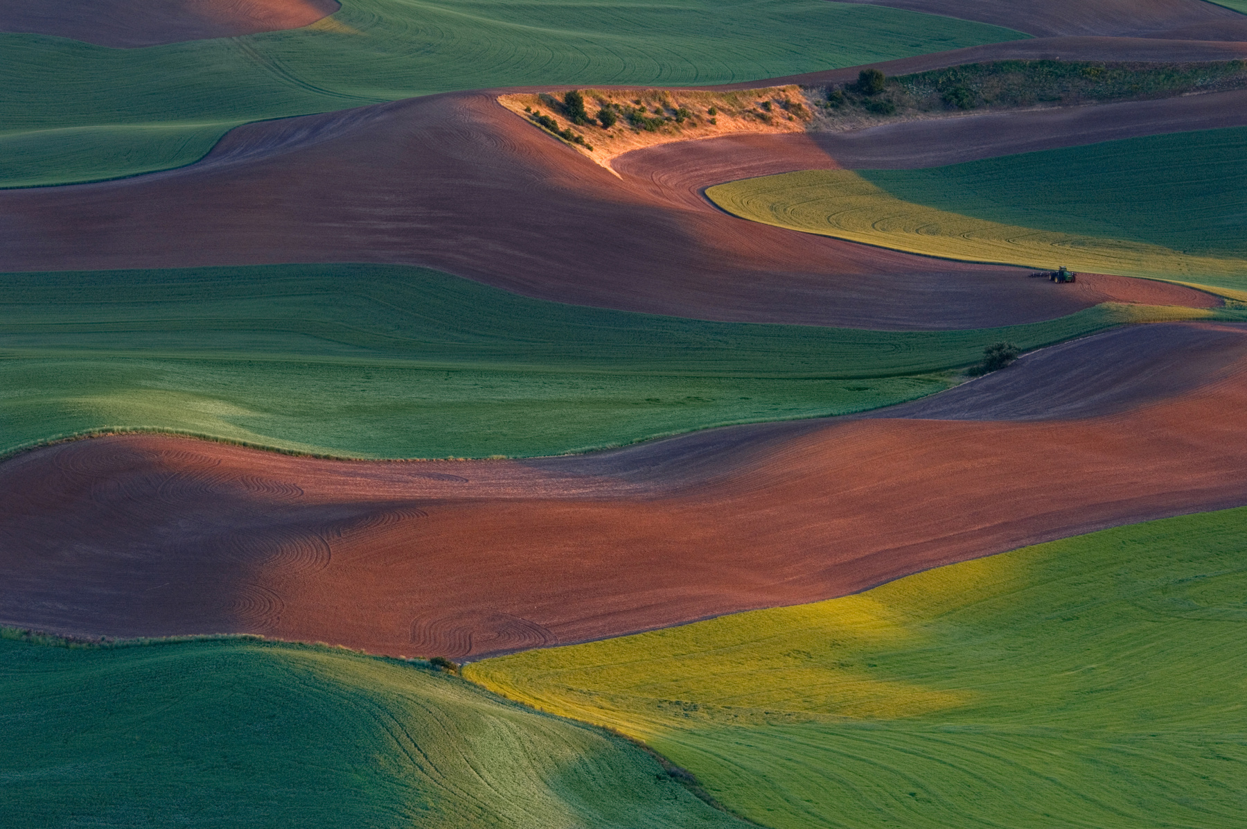 Серия <Палузские Пастели>. Лист 1 Palouse, Washington, US