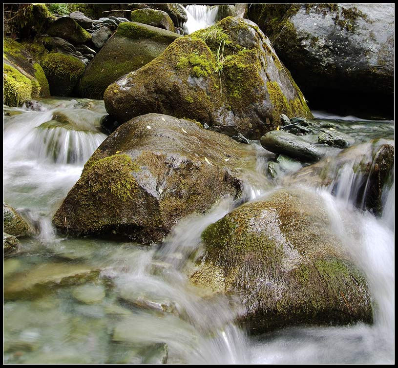 Бег воды. Алтай, Текелюшка, бег воды, природа, спокойствие.