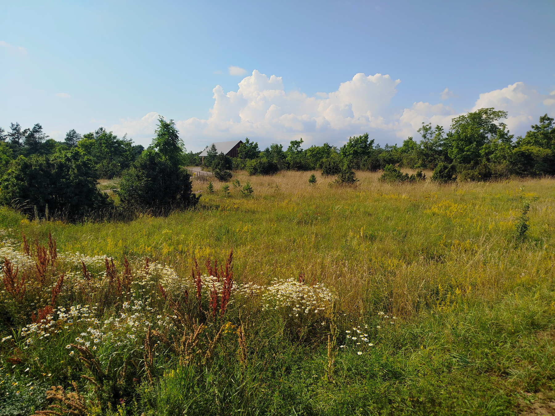 Лето. лето
