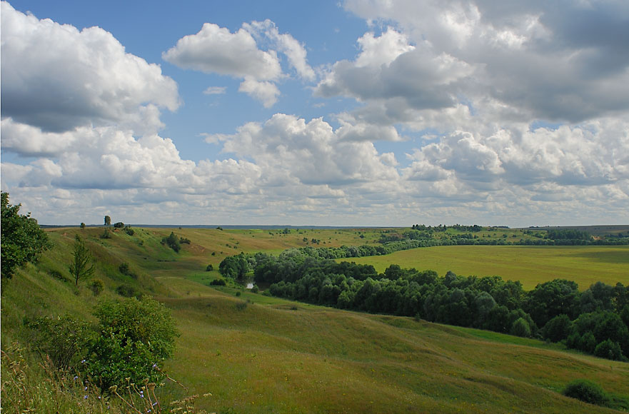Шамордино Шамордино