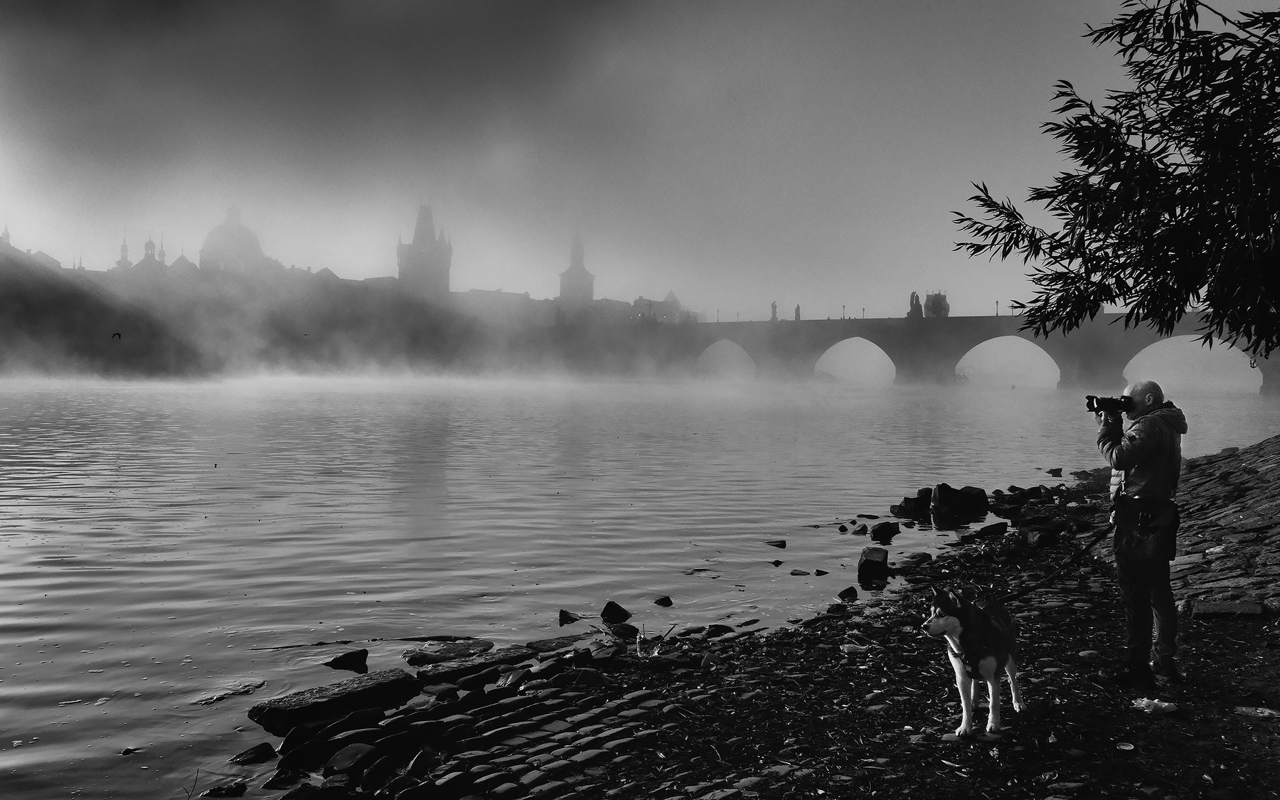 Prague in the fog 