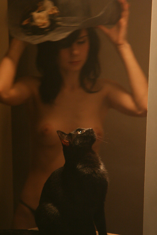 Про кота. Кот девушка шляпа