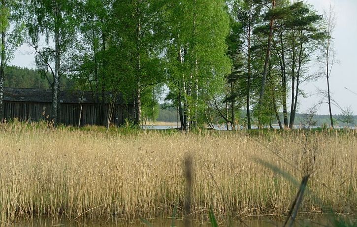 Вечер о озера! вода, озеро, лес, берёзы, камыш, амбар, сарай, даль, вода