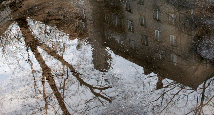 лужа 
