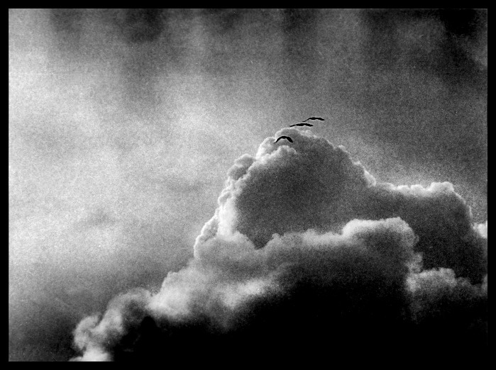 Upward 