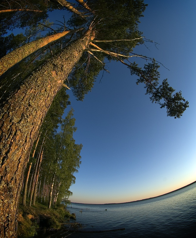 Про то, как кружится голова, когда сидишь у костра на берегу Шексны (Fisheye-series) 