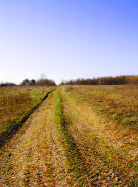spring I saw 