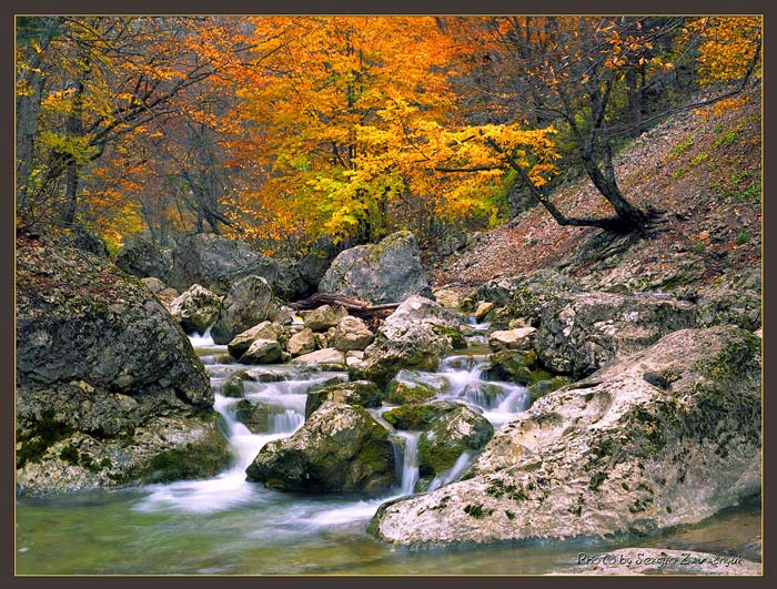 Крым осенний Крым осень каньон  дерево