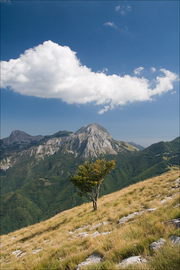 A Lonely One Apuan Alps, Tuscany, Italy