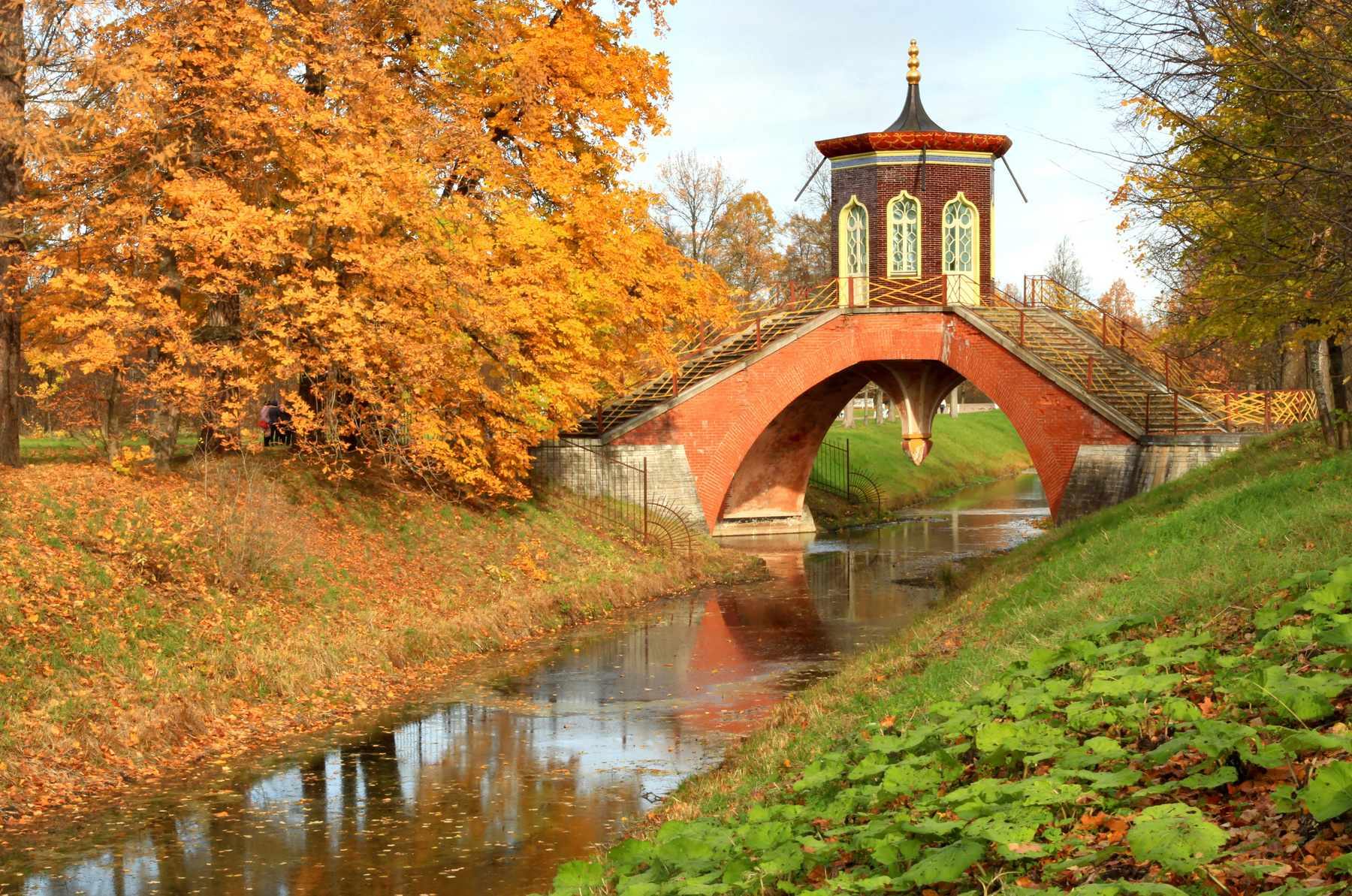 В парке 
