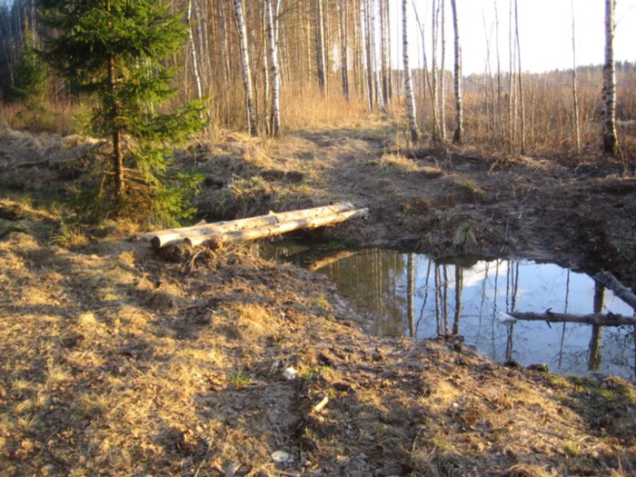 _visNA_ весна