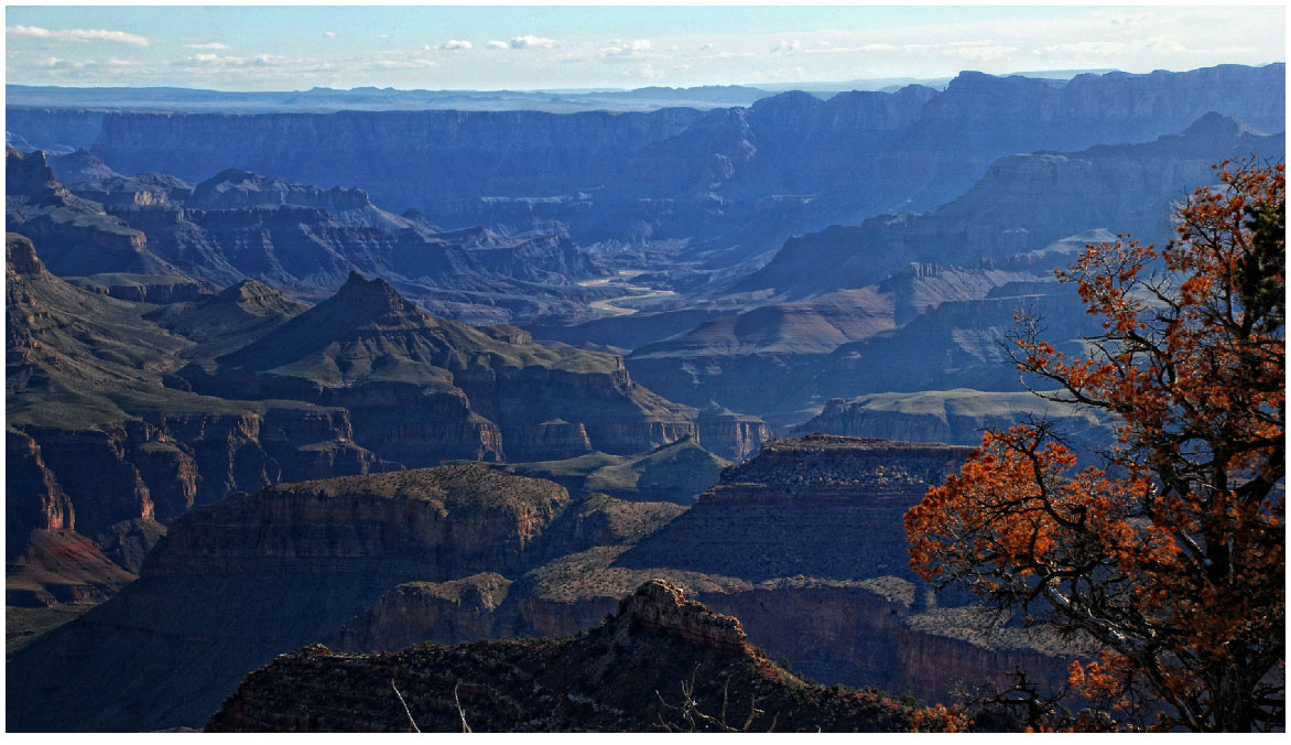 Вид на Grand Canyon с Kalibab headtrail Grand Canyon 
