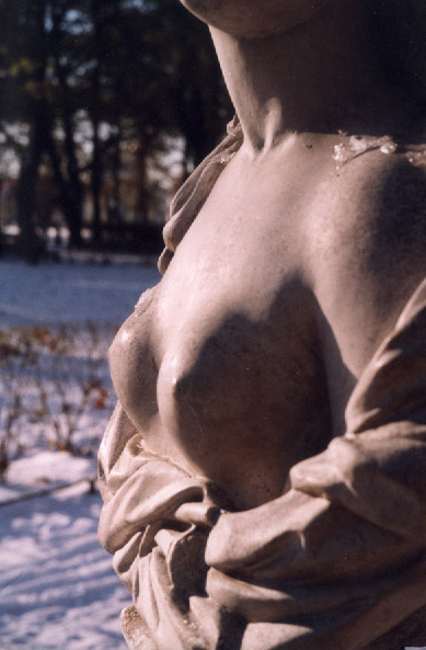 Ледяная грудь 