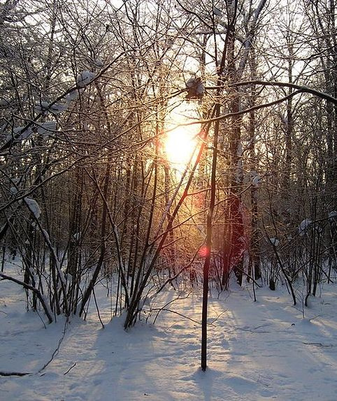 Зимнее солнце 