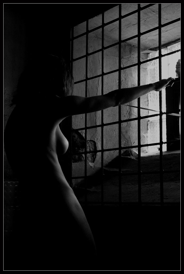 ... freedom ... no!!! 