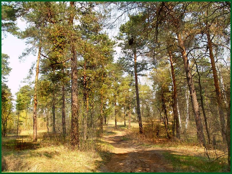 пейзажик Александр Кривицкий