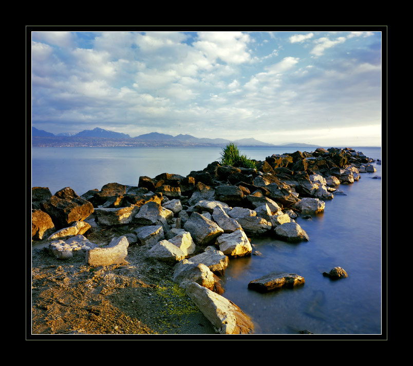 Спилил уставшее дерево Д. Кузнецов, Linhof, дерево, пень. http://www.photosight.ru/photo.php?photoid=1423130&ref=author
