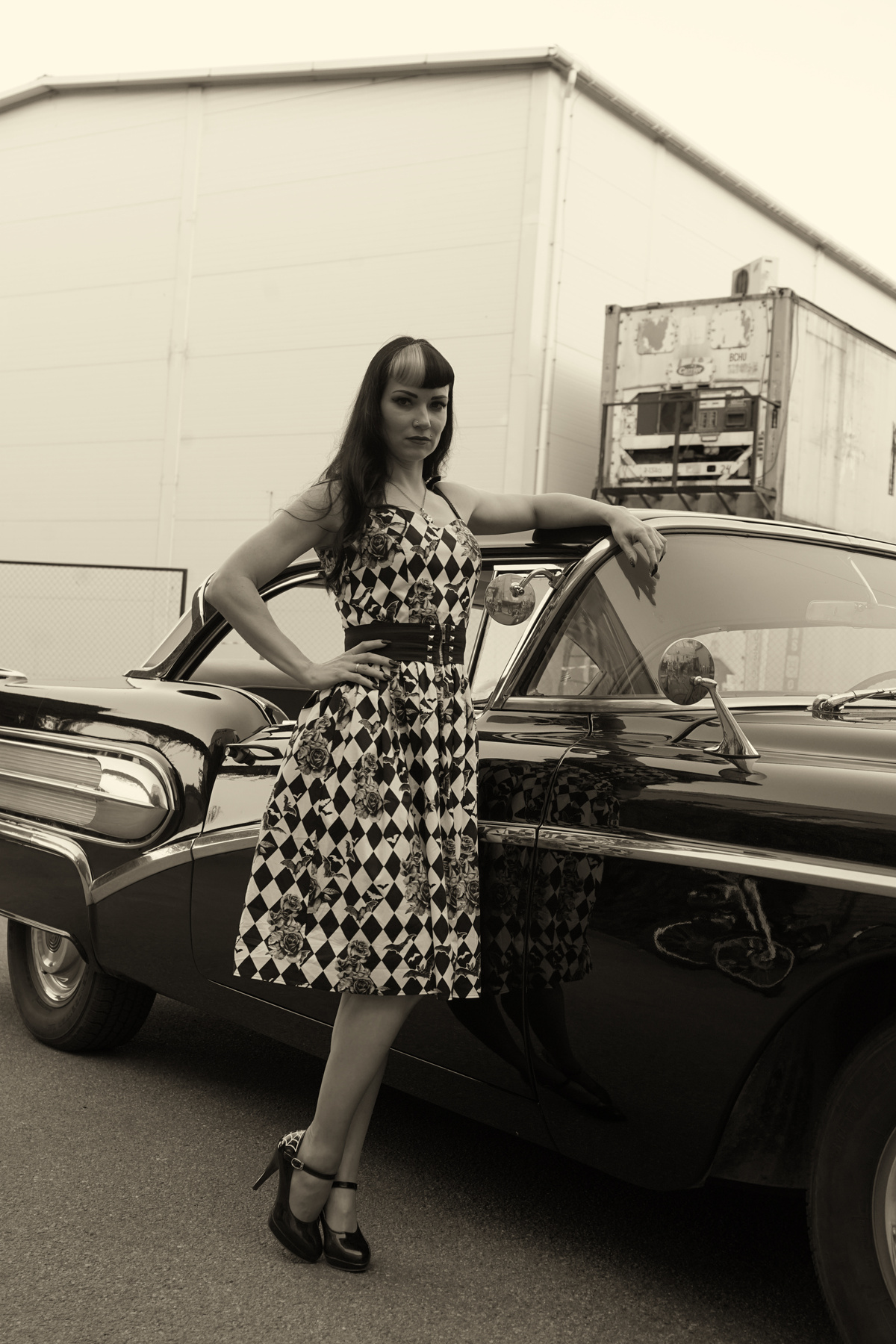Pin  Up girl 2 