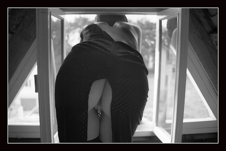 window 