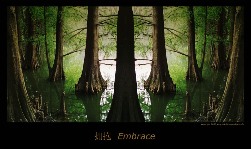 Embrace 