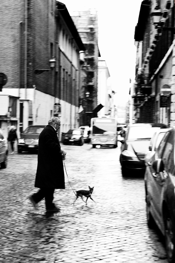 Un uomo con un cane Рим, дядя с собачкой