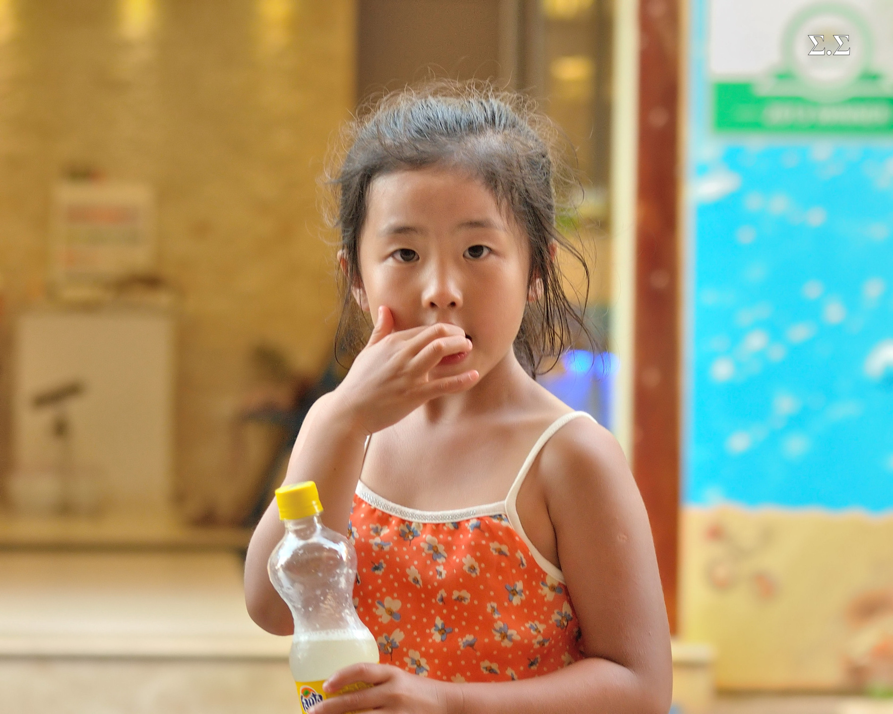 CURIOUS LITTLE TOURIST 