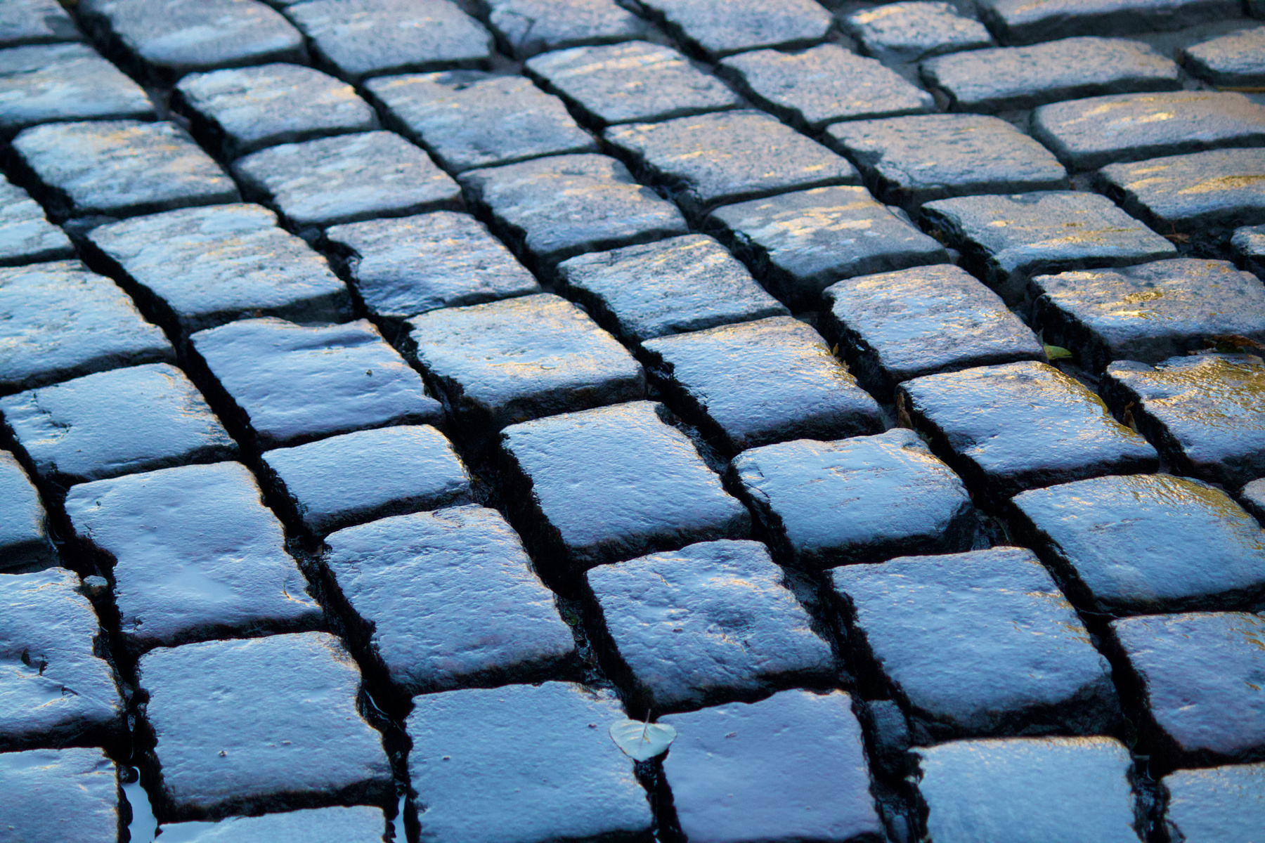 Konigsberg paving stone брусчатка Калининград Кёнигсберг