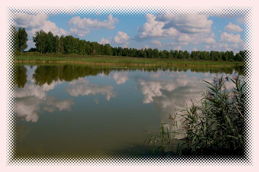 (Последняя капля летА) озеро природа отражение