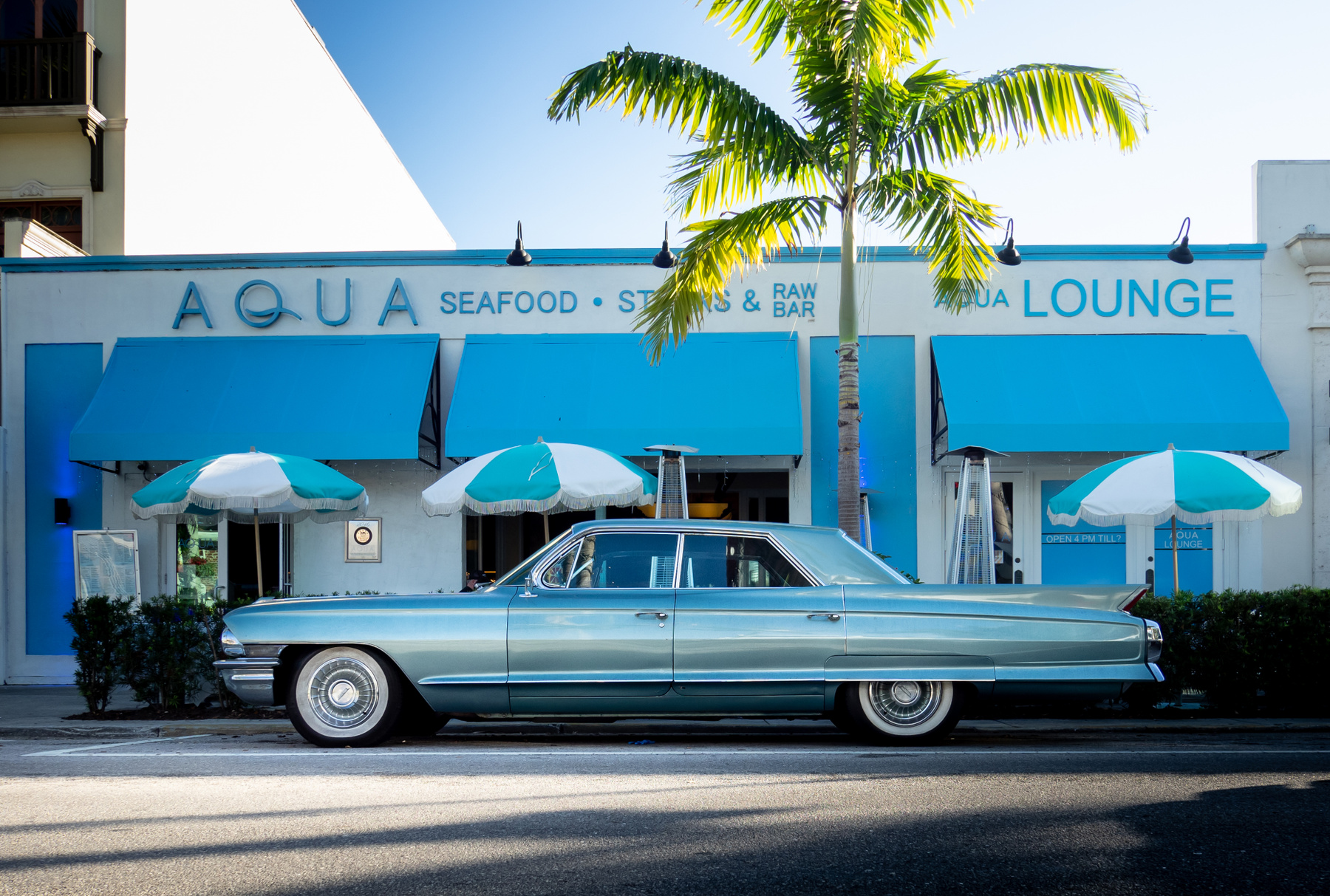 Summer wine cllassic retro florida cadillac olympus