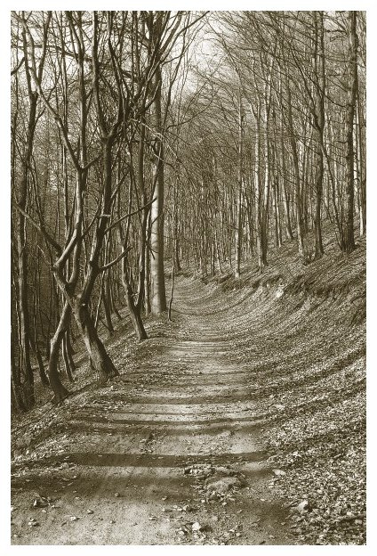 on the walk 