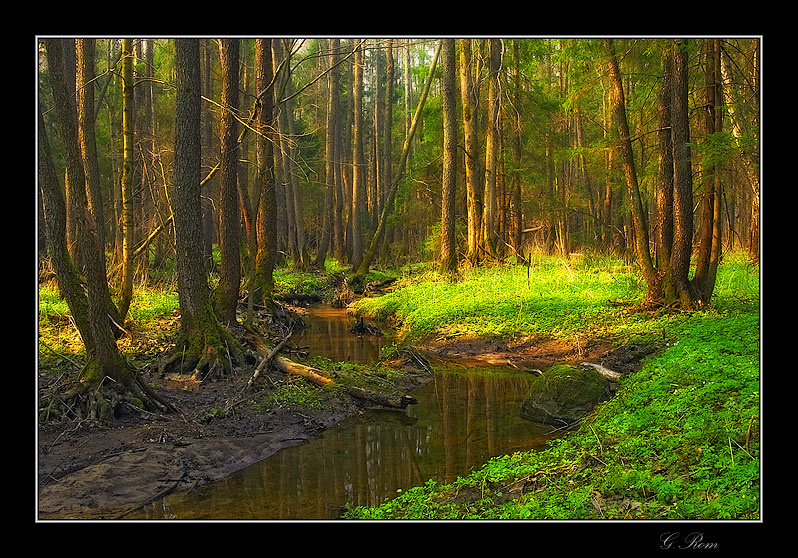Камешек для Алёнушки Камешек для Аленушки