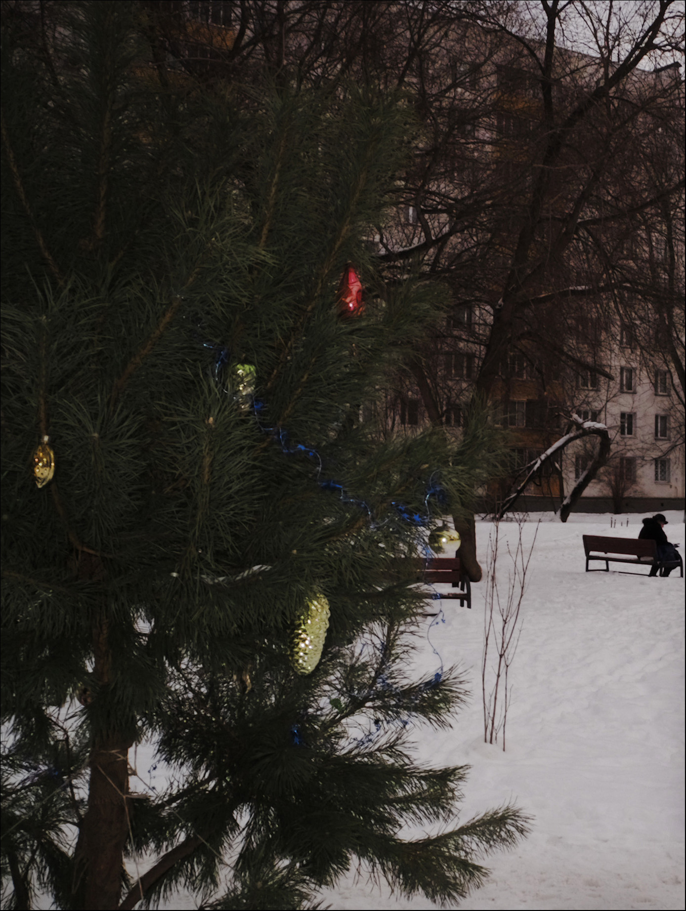 Новогодняя елка в моем дворе 