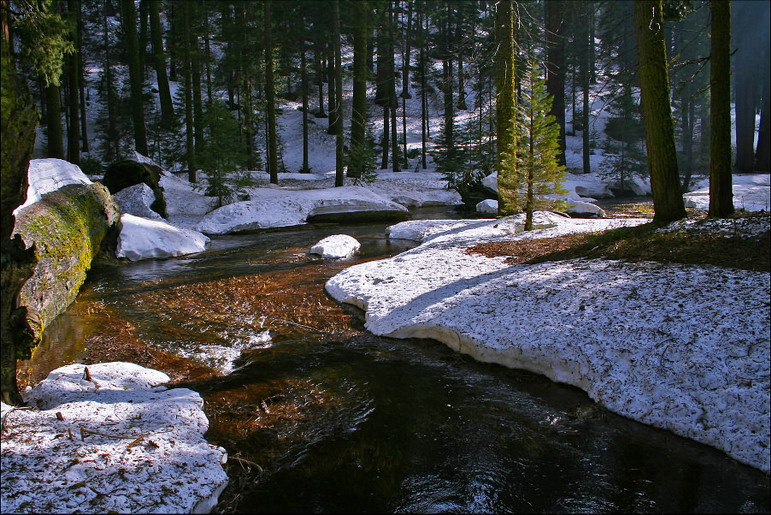 Весенний свет... Свет вода вестна
