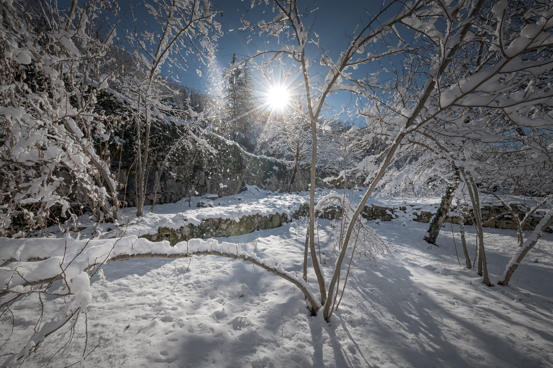Winter Day In Gelati Monastery gelati winter sun snow trees january mountains monastery landscape scenery travel outdoors georgia imereti sakartvelo chizh