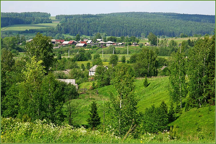 *** Деревня,  лето,  солнышко.