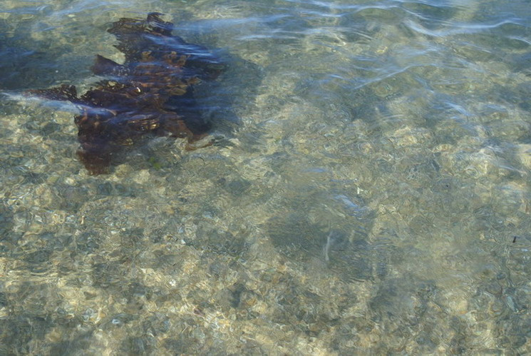 Морская гладь Море
