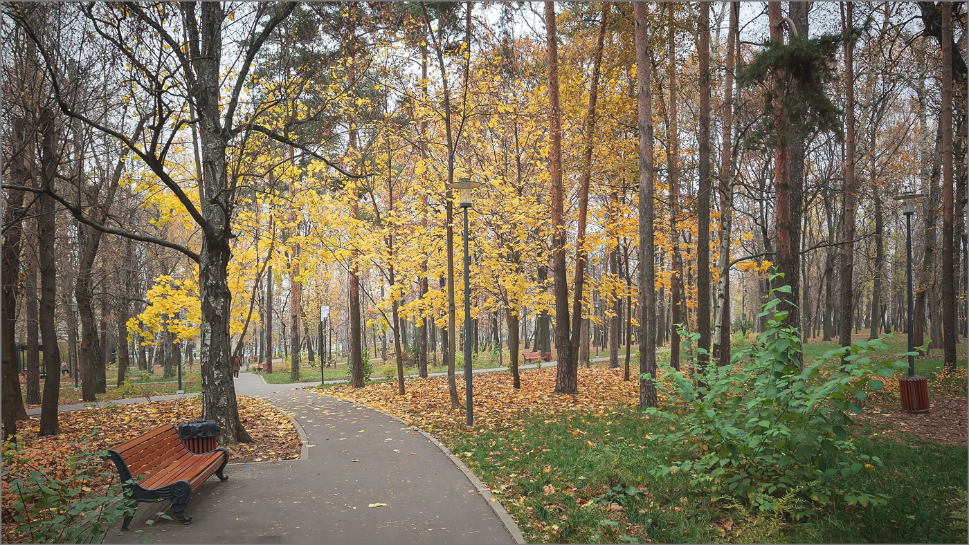 В осеннем парке... парк осень