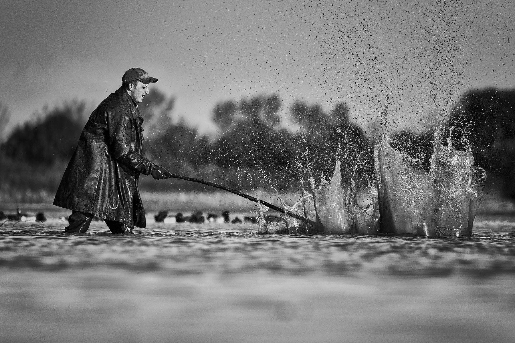 From the catch 