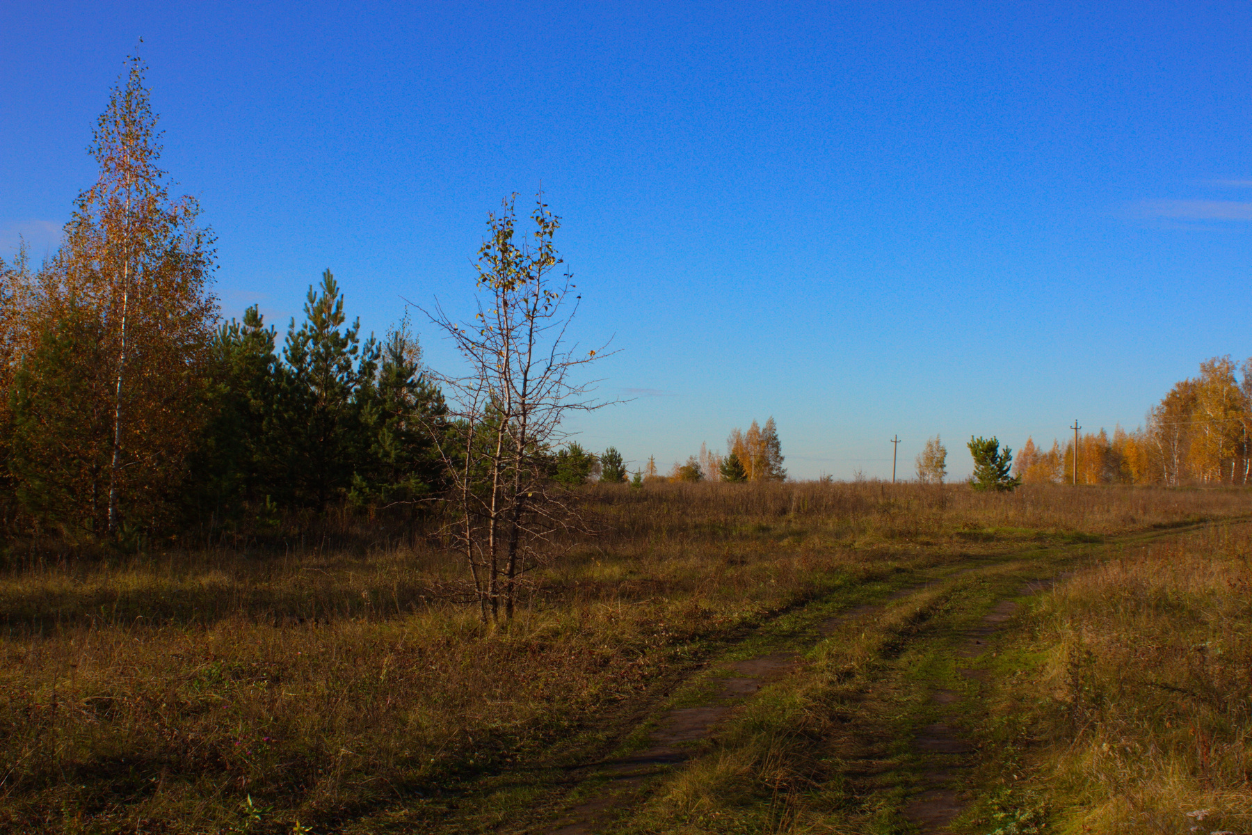 *** Осень