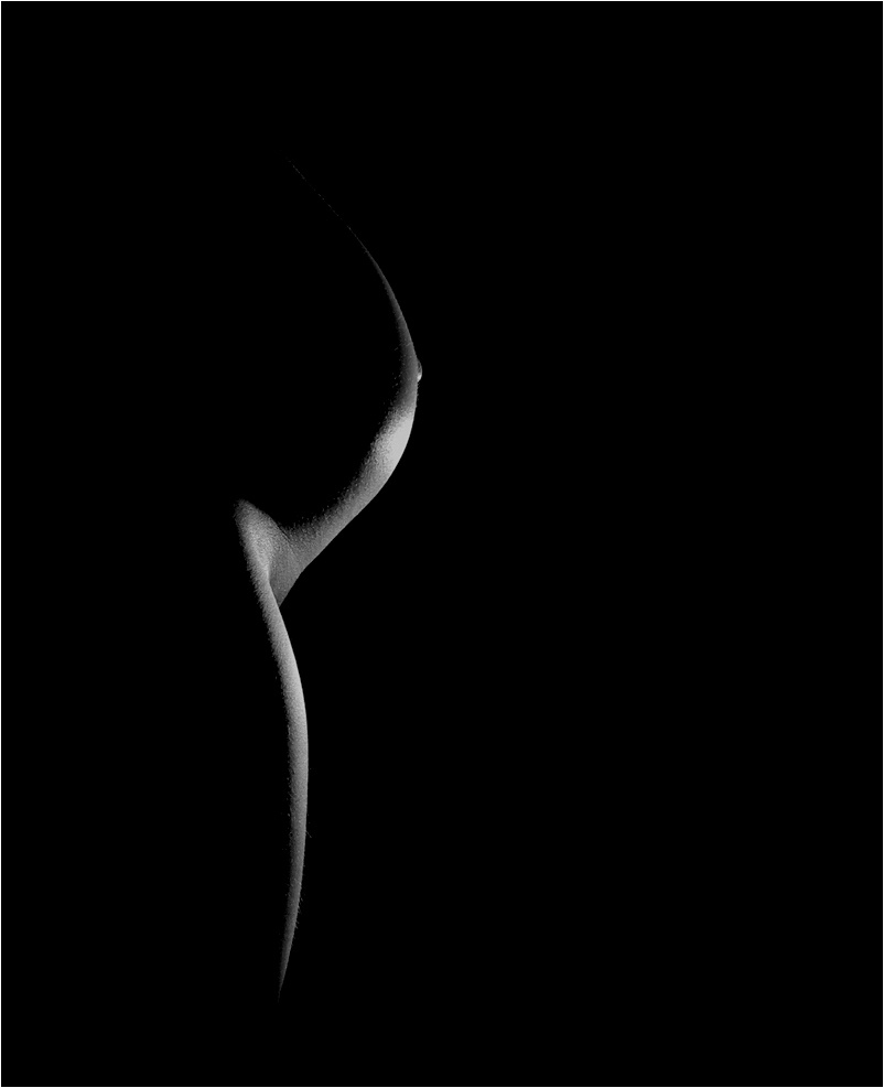 Figure #3 Pregnant