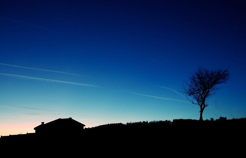 The colours of the night  (part II) 