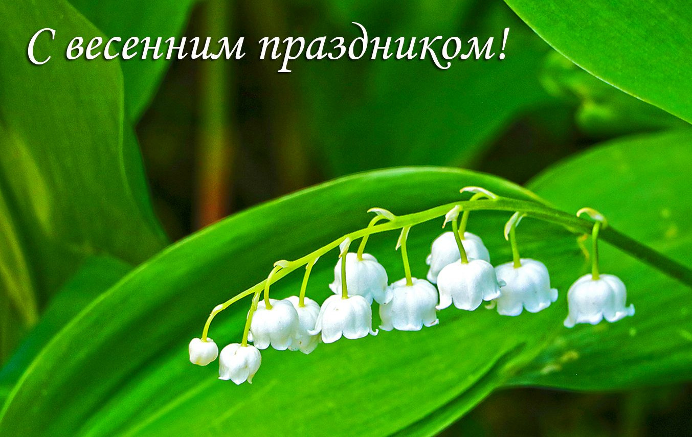 С Женским Днём! 