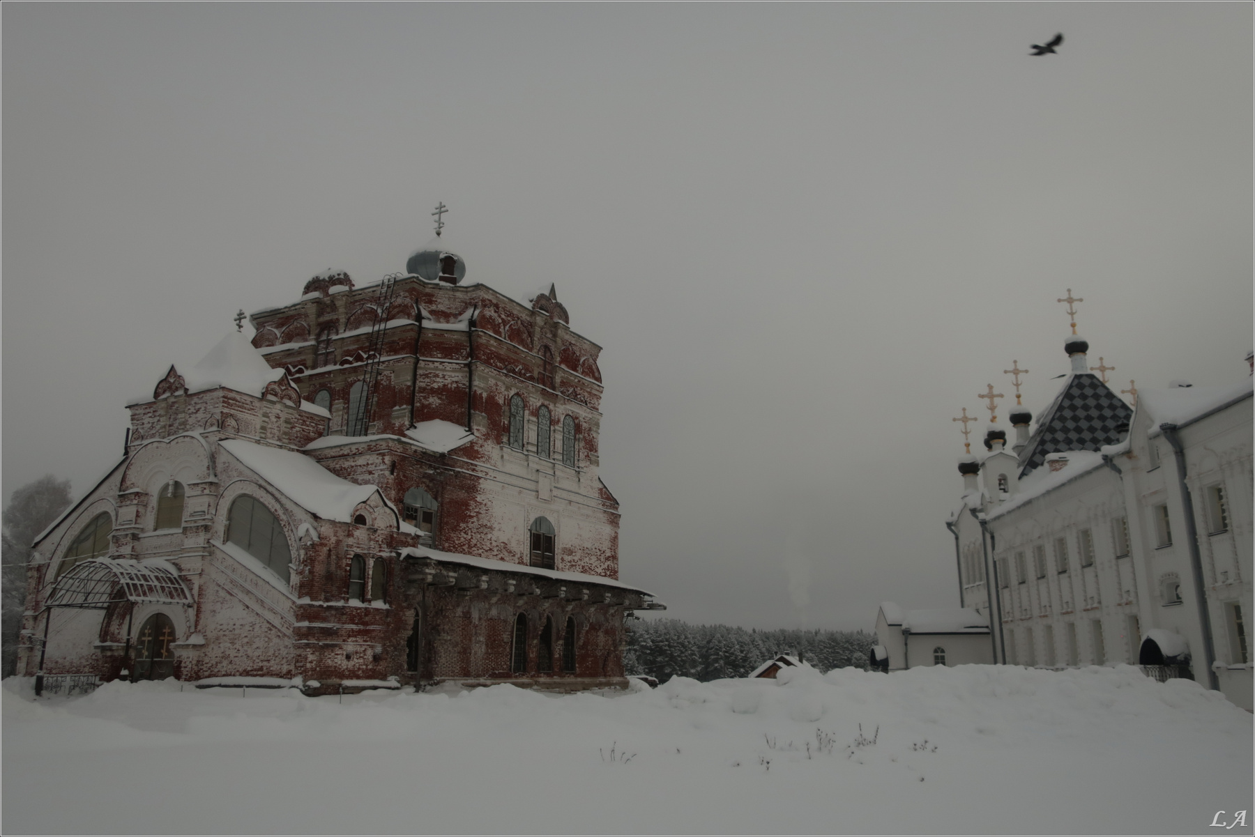 Хмурое утро Творческий Союз Снежный Лев Фототренер Александр Мамакин Фото Светланы Мамакиной Путешествие Lihgra Advenyture Фотосайт Россия Архангельская область Пинежский район Артемиево-Веркольский монастырь зима январь