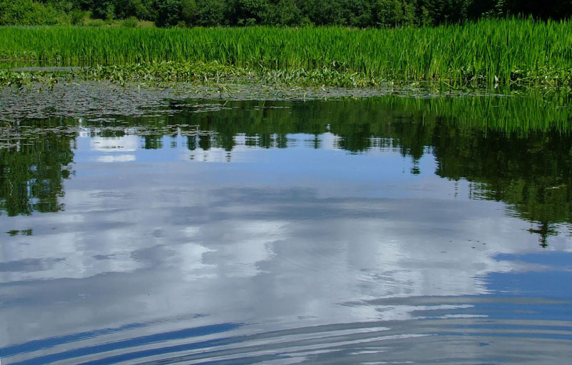 Круги на воде вода круги отражение облака лето